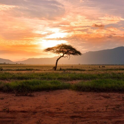 Best of South Africa