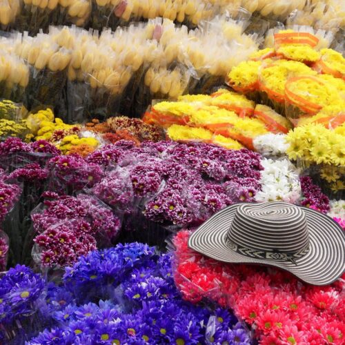 Highlights of Bogota