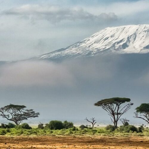 Discover Kenya