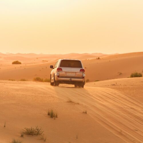 Discover South Africa & Dubai