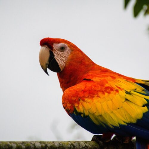 Medellín & Cartagena