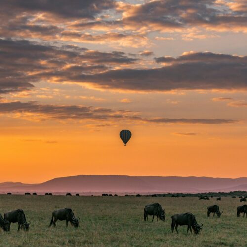 Discover Tanzania and Zanzibar Adventure