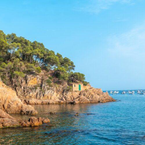 A French Journey: Paris and the Riviera